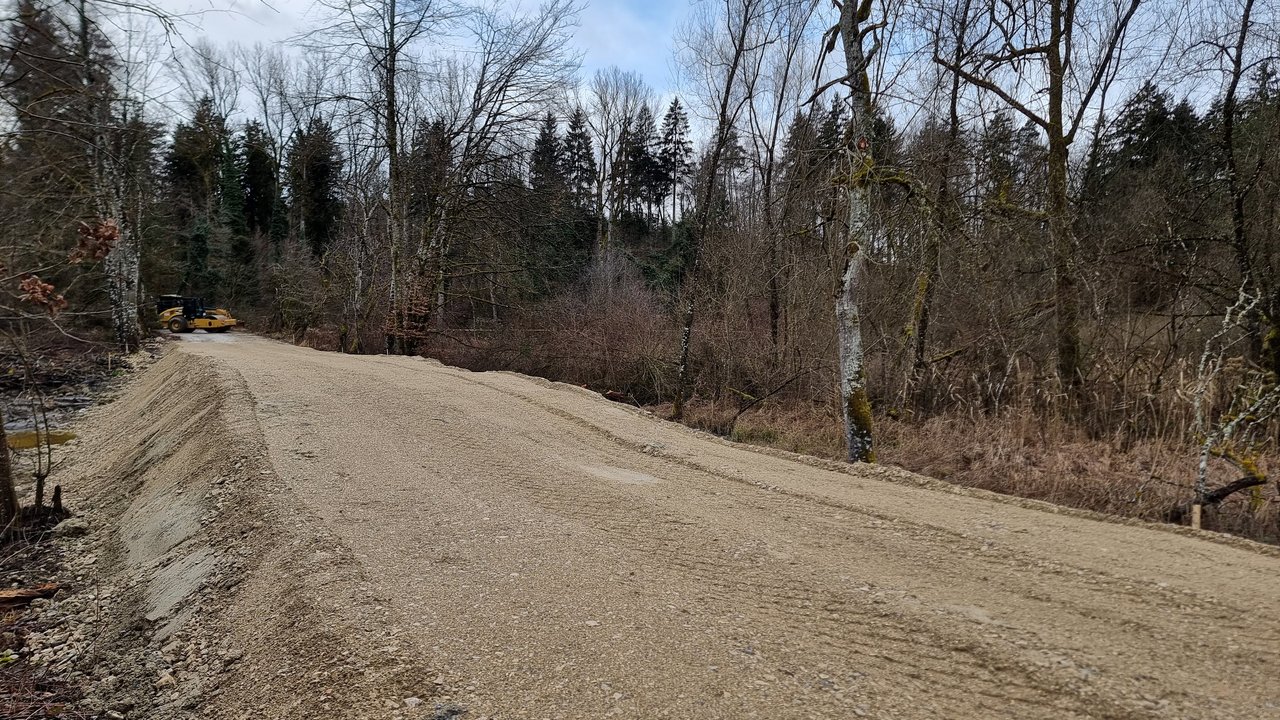 Ein Schotterdamm im Wald bei Hegne