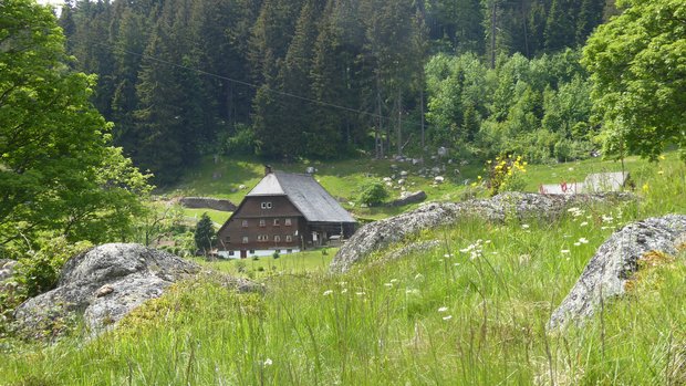 Ein Hof im Schwarzwald
