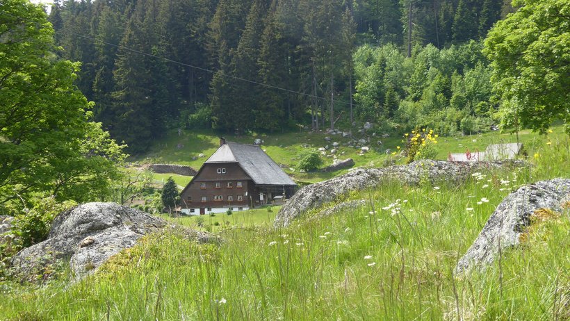 Ein Hof im Schwarzwald