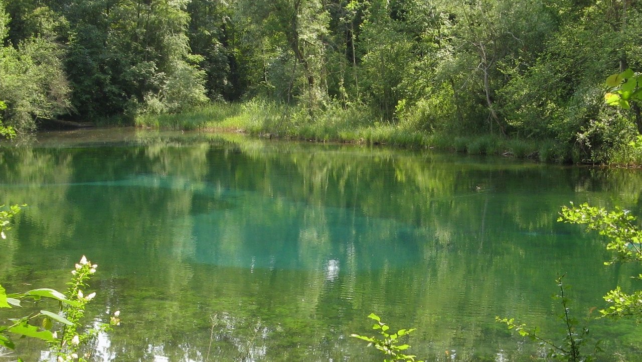 Rückhalteraum Breisach/ Burkheim