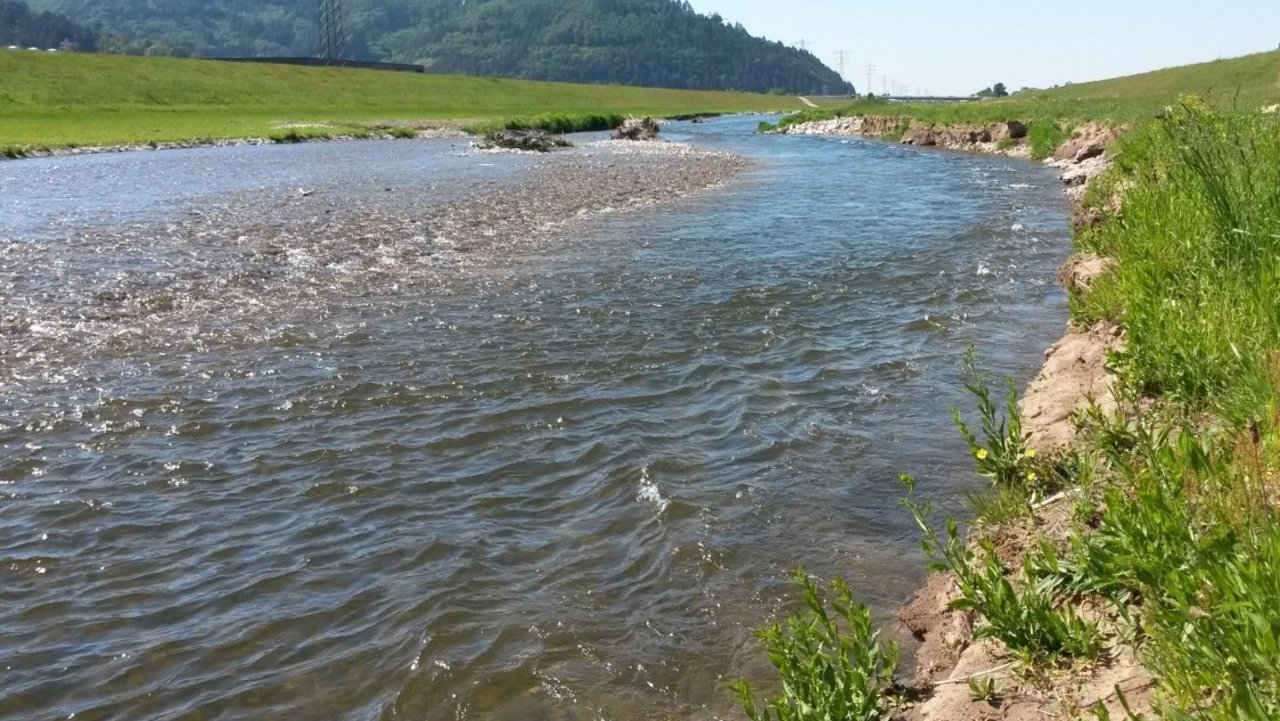 Kinzig bei Gengenbach