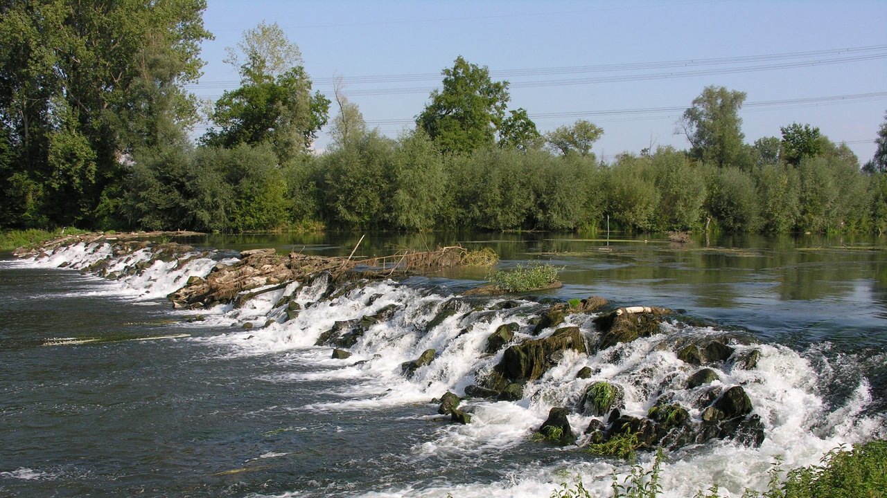 Faschinat Elzmündung