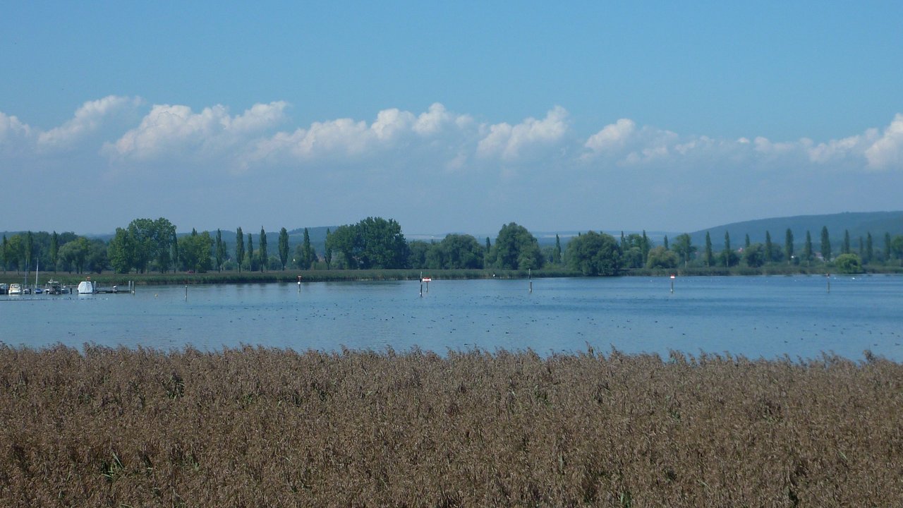 Blick auf die Mettnau