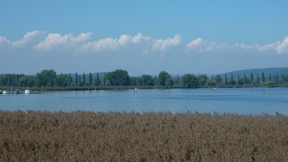 Blick auf die Mettnau