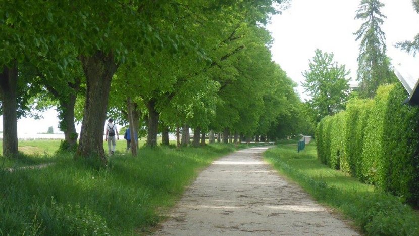 Damm in der Naturlandschaft