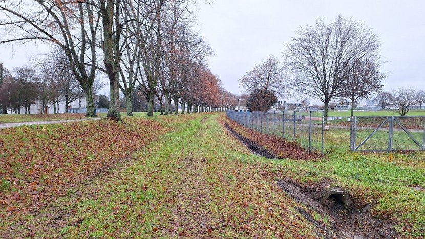 Damm in der Naturlandschaft