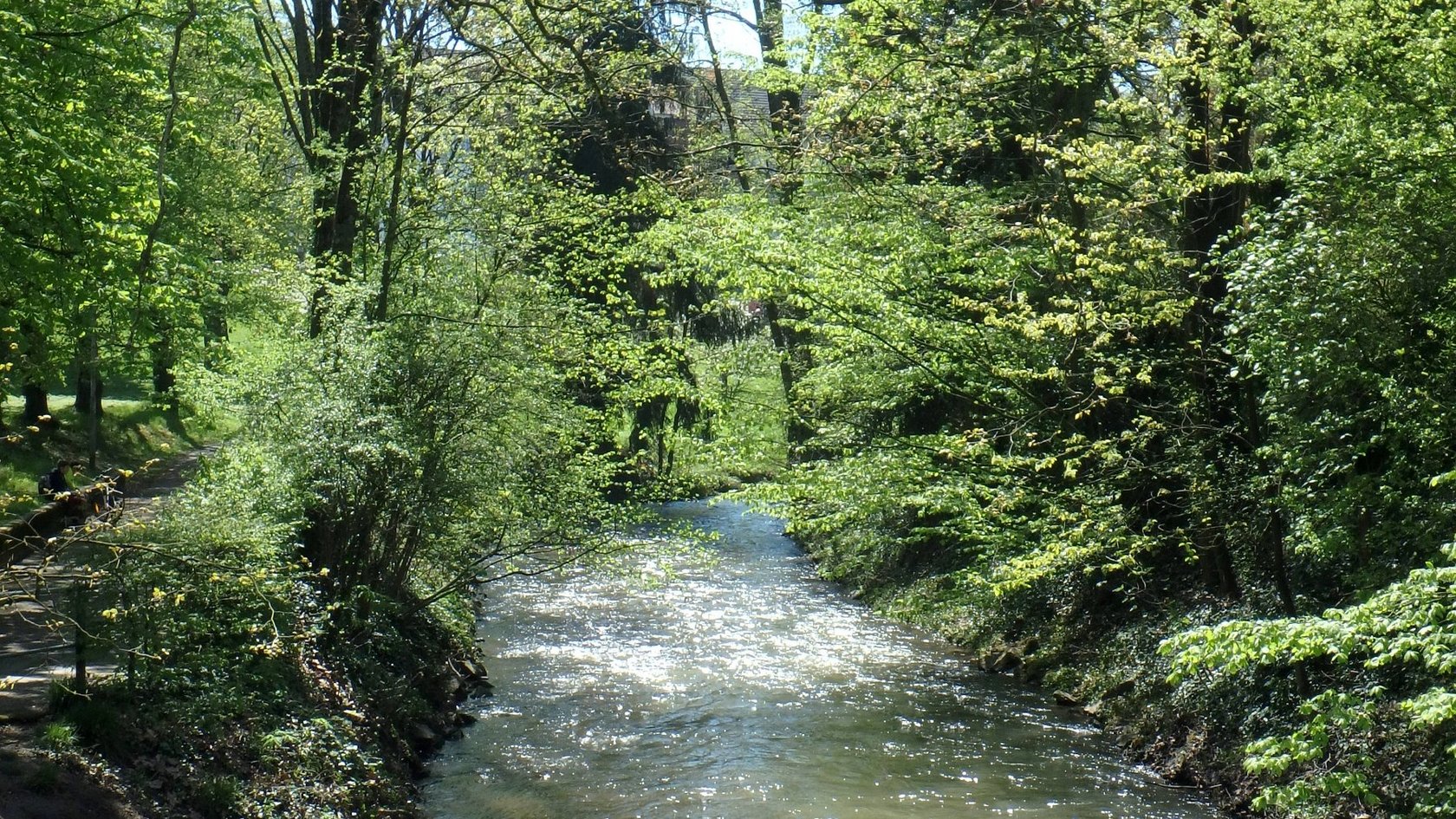 Bei Lahr ist die Schutter an einigen Abschnitten in einem sehr guten Zustand
