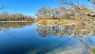 Insel im Rhein