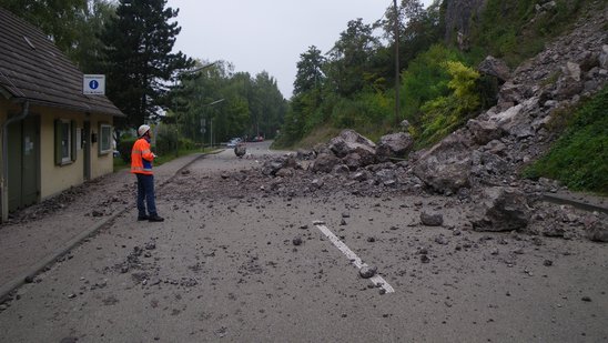 Das Bild zeigt einen Felssturz bei Sasbach