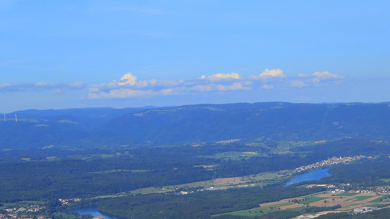 Blick auf den Rhein