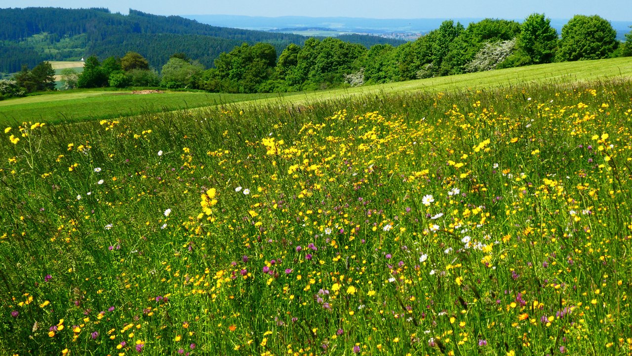 Naturschutzgebiet Lupfen