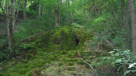 Wiesen und Heiden an Glatt und Mühlbach