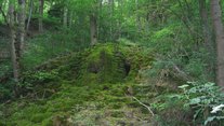 Wiesen und Heiden an Glatt und Mühlbach