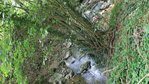 Fließgewässer mit gewässerbegleitendem Auwald an der Möhlin