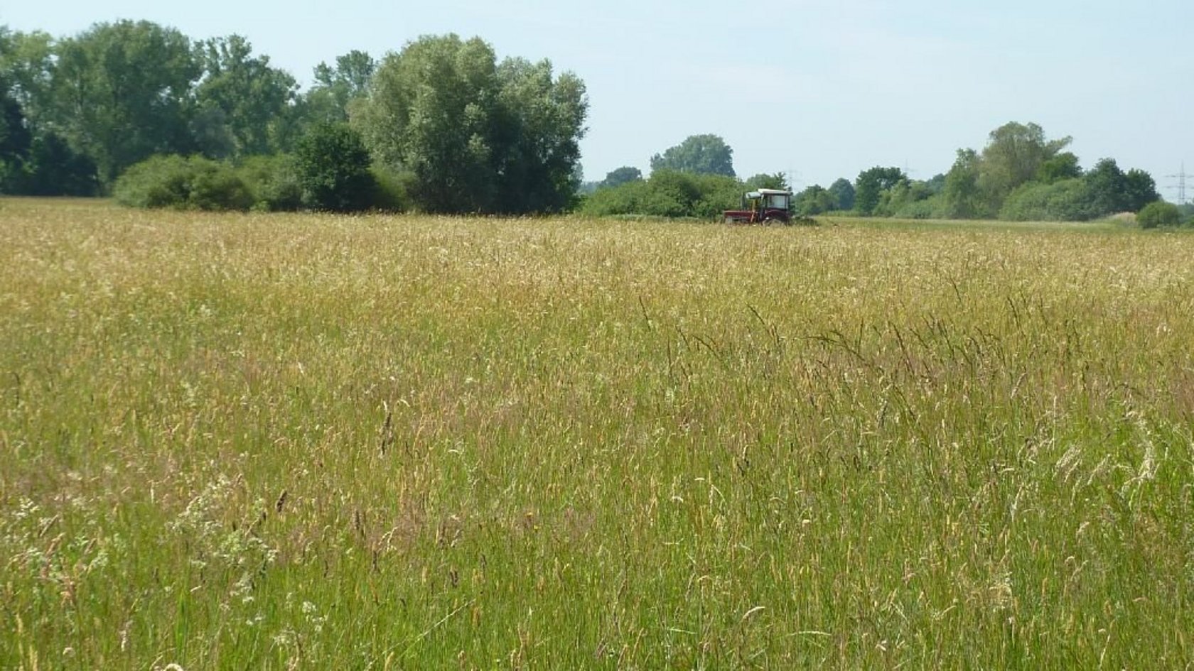 Schutter Unditz Eckartsweier