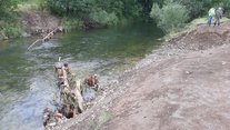 Stammholzstrukturen am 25.07.23 Stammholzstrukturen