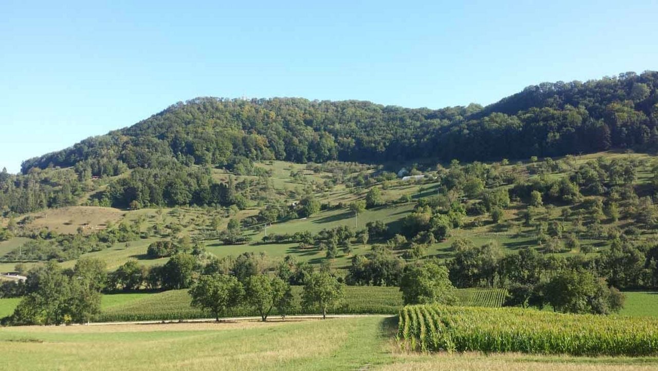 Das geplante Natur- und Landschaftsschutzgebiet "Küssenberg" Ansicht des Gebiets