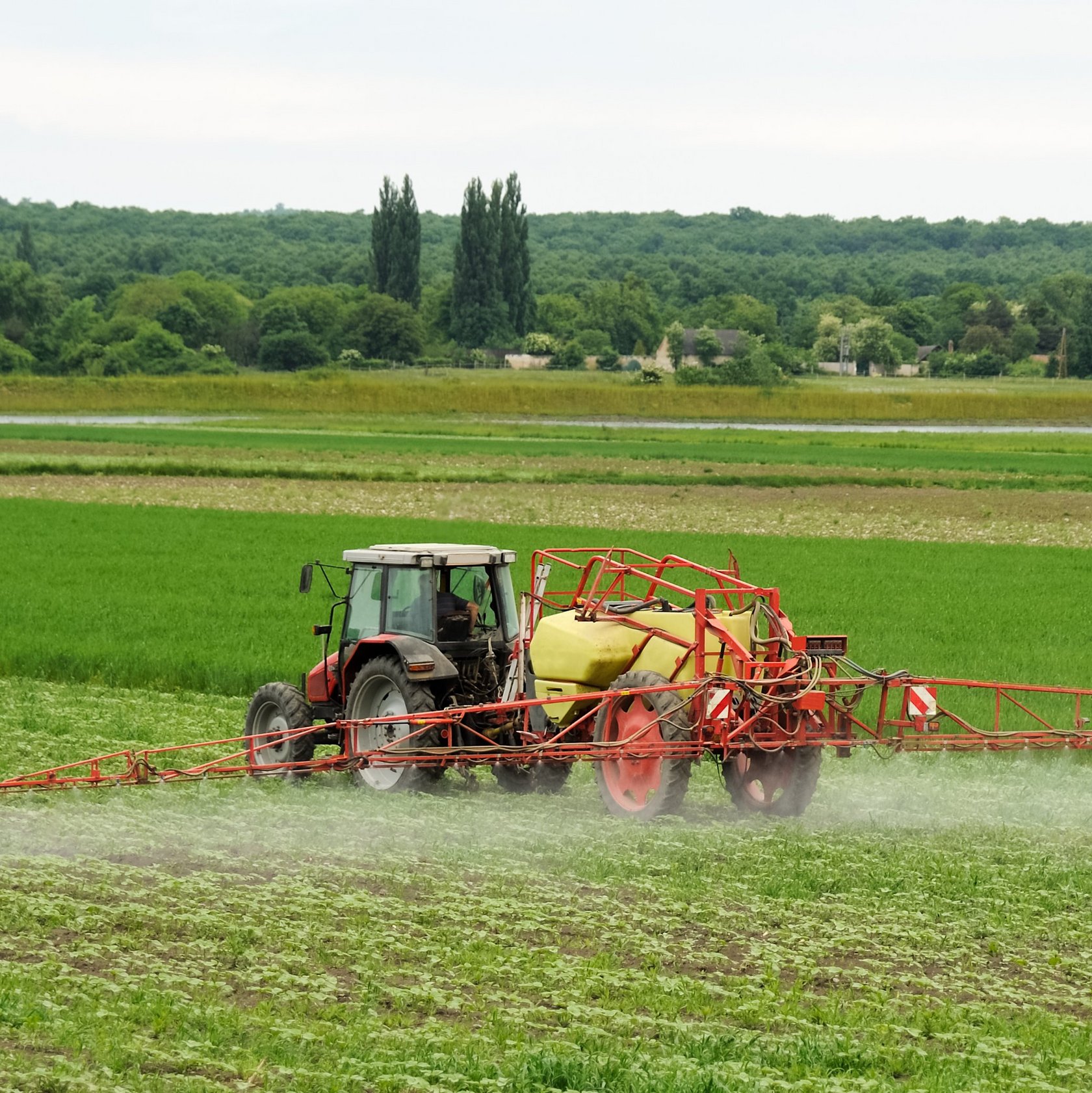 Landwirt mit Traktor sprüht Pestizide oder Dünger auf das Feld