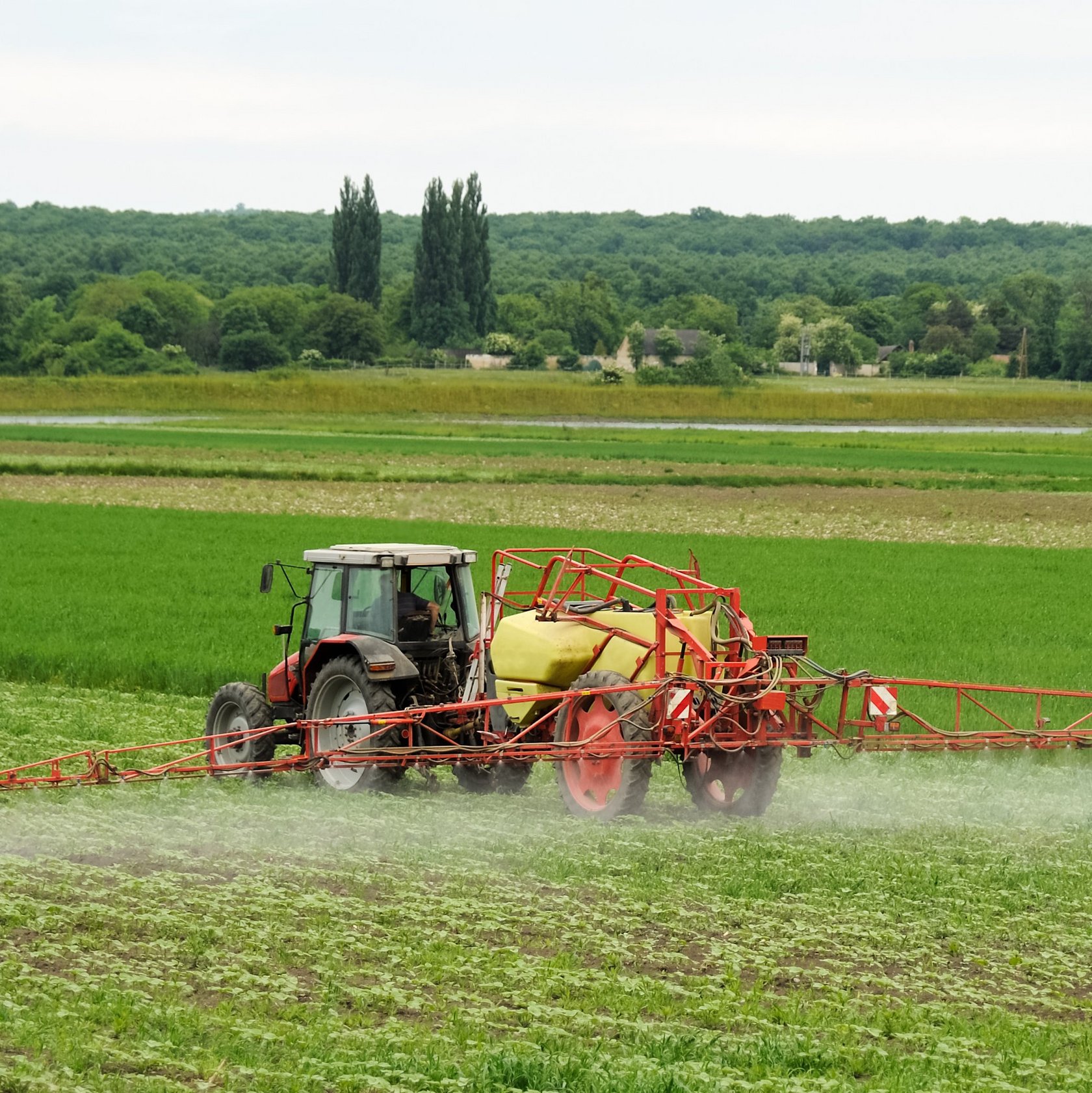 Landwirt mit Traktor sprüht Pestizide oder Dünger auf das Feld