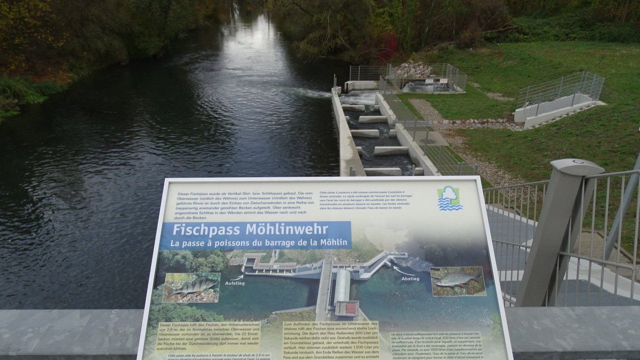 Neue Infotafel über das Möhlinwehr
