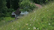 Landschaft