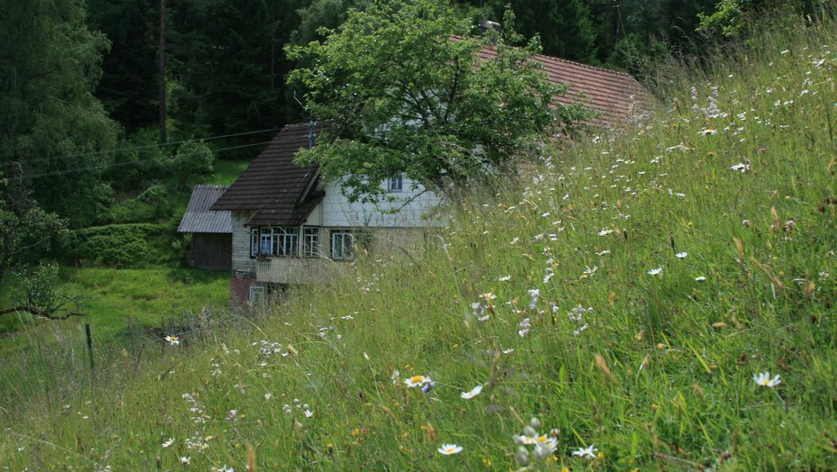 Landschaft Landschaft