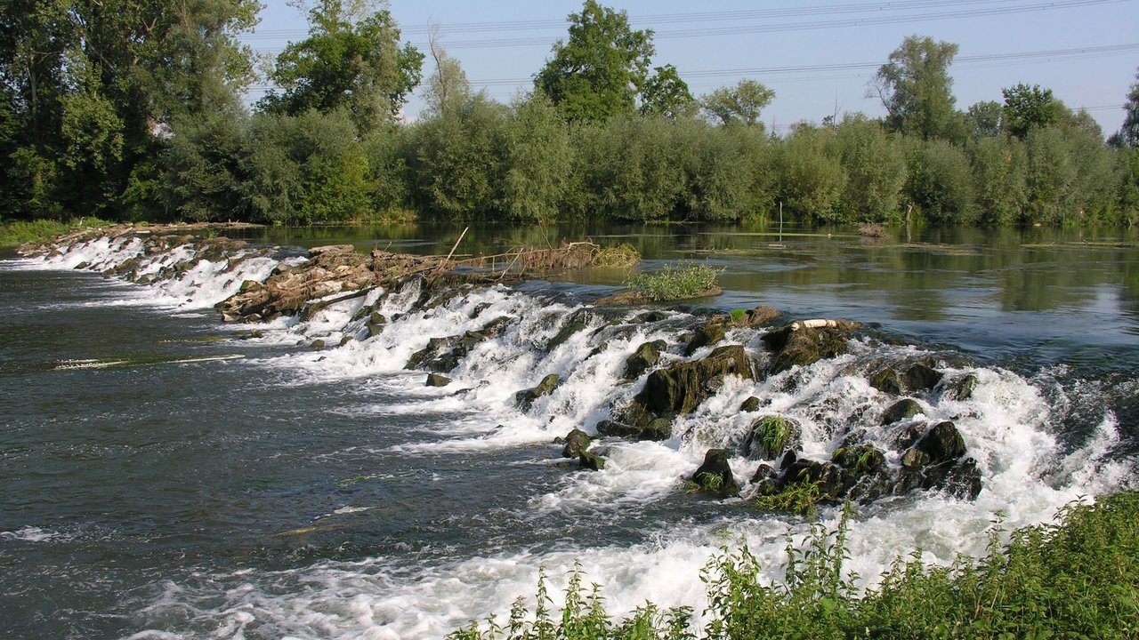 Faschinat Elzmündung