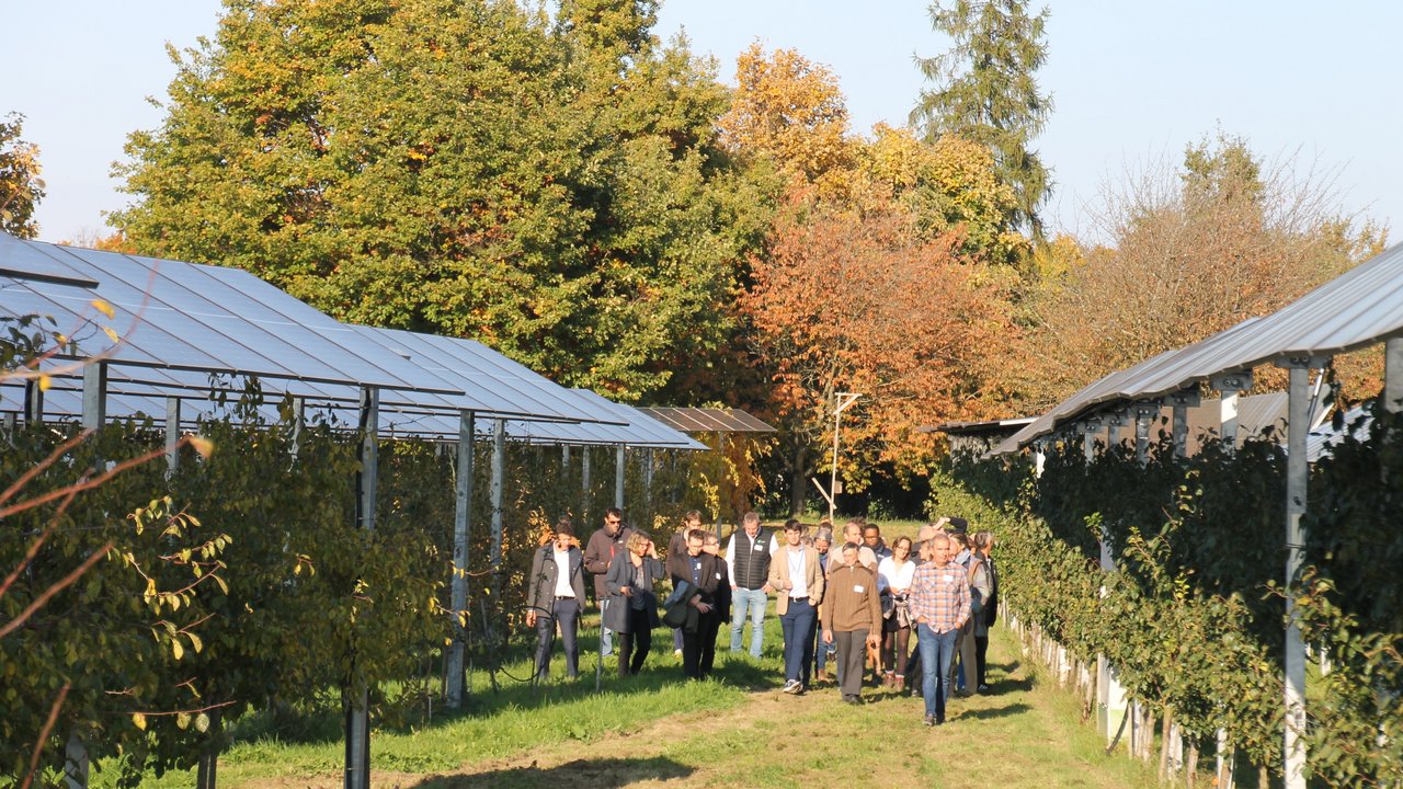 Besichtigung einer Agri-Photovoltaikanlage auf dem Obsthof Vollmer Personengruppe vor einer Agri-Photovoltaikanlage