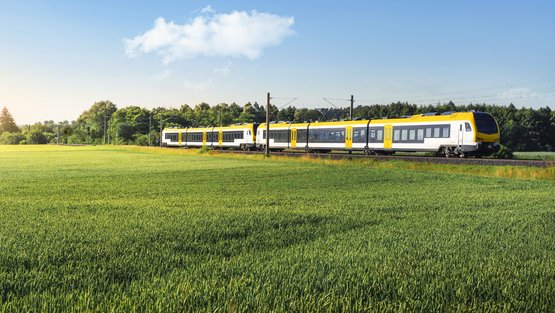 Eine neue Regionalbahn fährt hinter einer Wiese