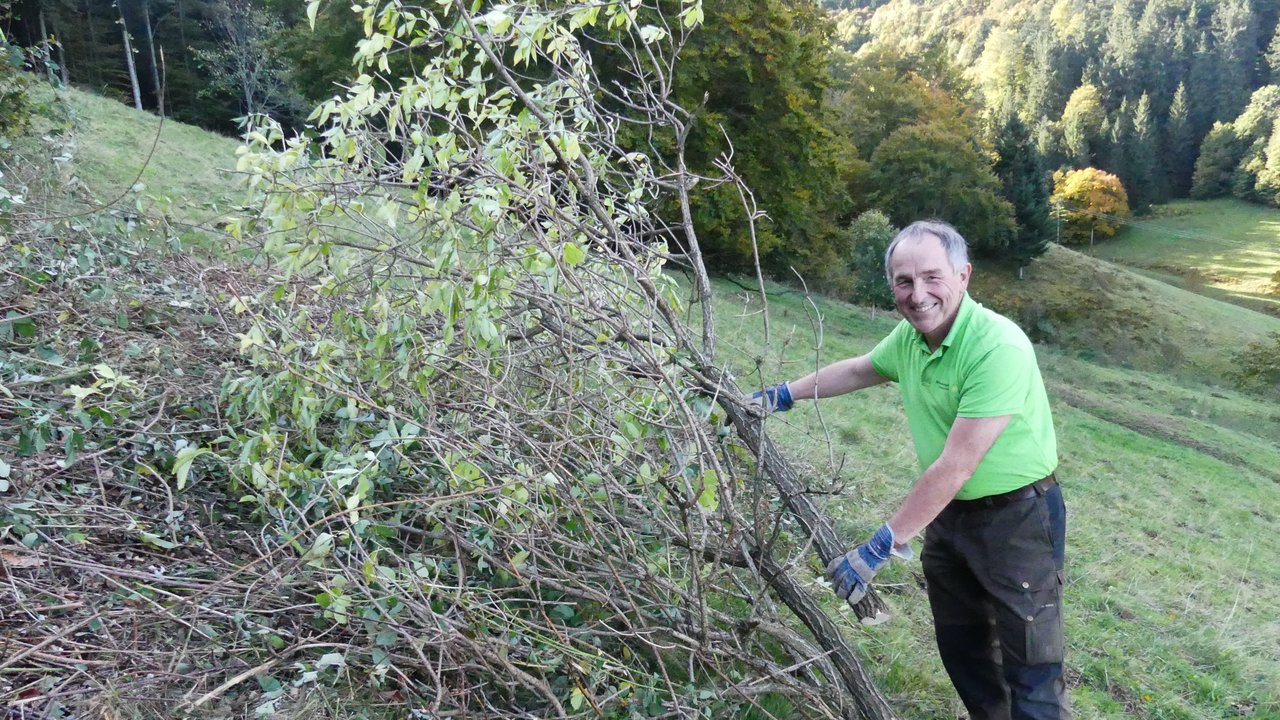 Biosphären-Geschäftsführer Walter Kemkes packt an beim Entbuschen einer Weide..