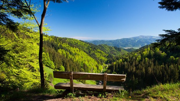 Biosphärengebiet Schwarzwald Blick auf eine leere Bank und den Schwarzwald