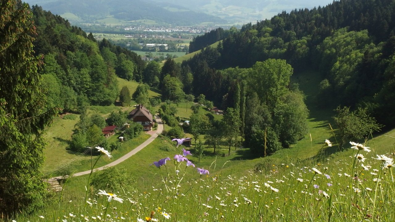 Referat 56 - Naturschutz und Landschaftspflege Der Kandelwald bei Stegen-Wittental