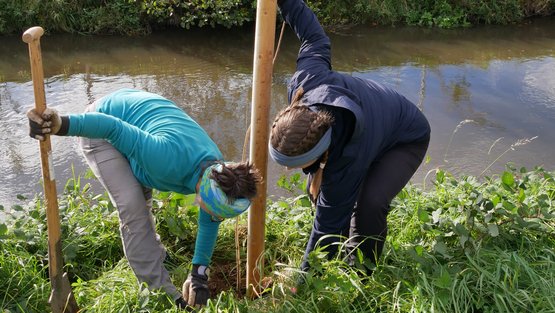 gemeinsame Bepflanzungsaktion im Oktober 2025