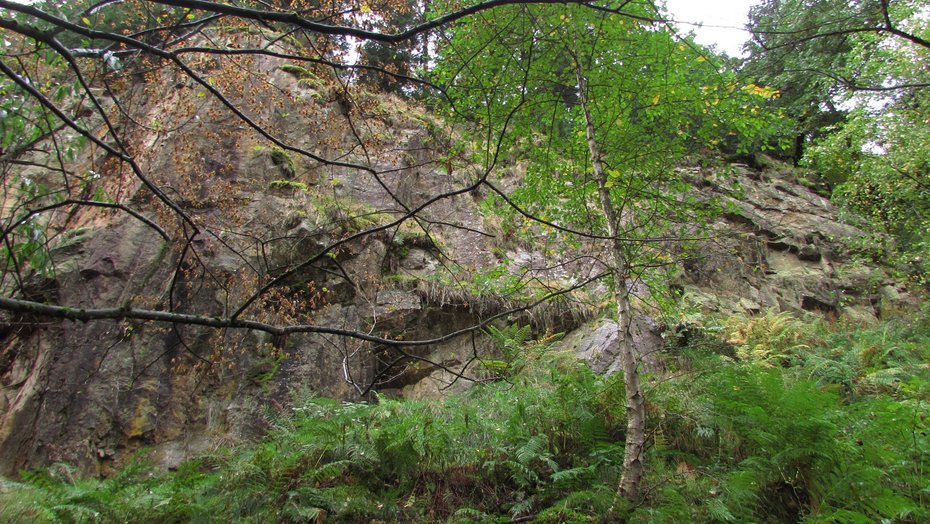 Stillgelegter Steinbruch im Münstertal