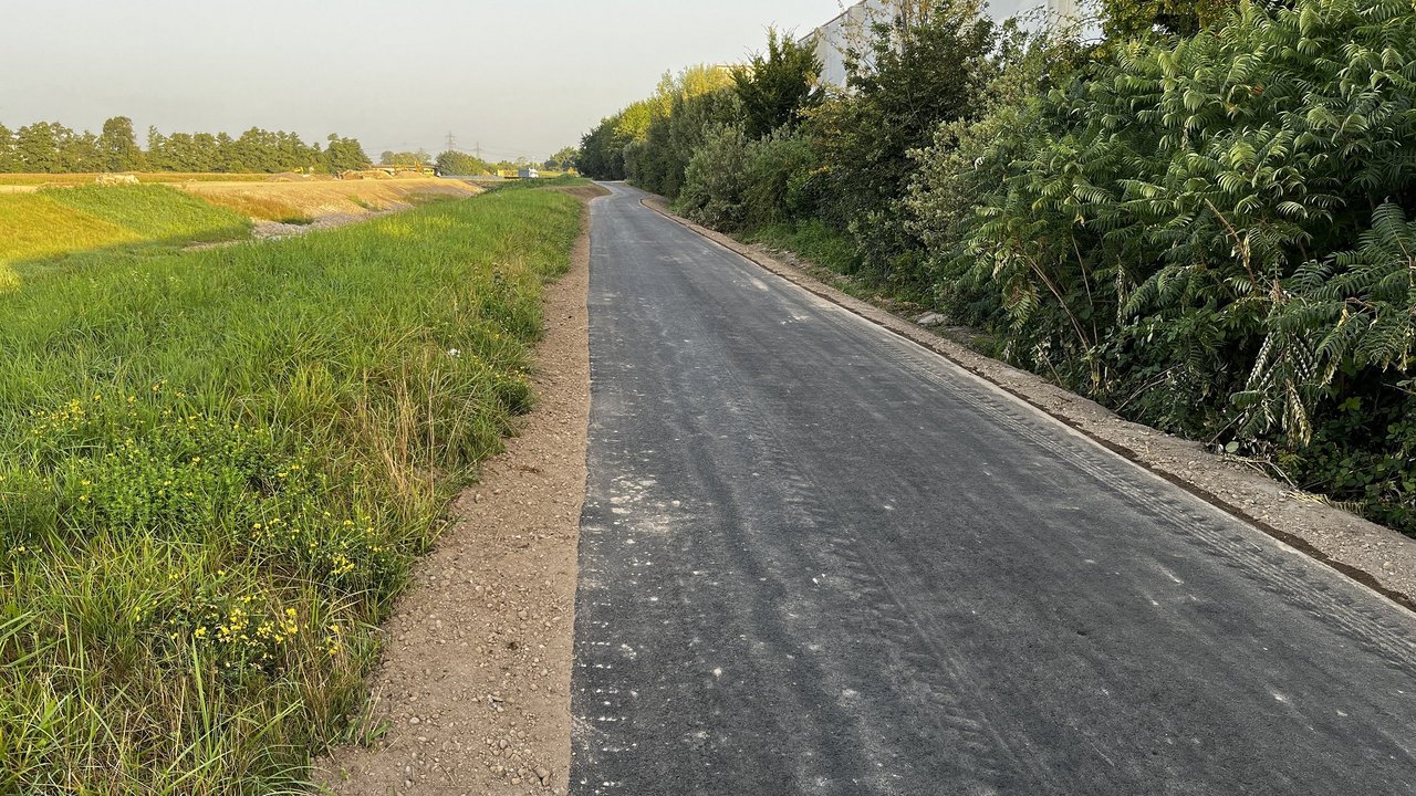 Asphaltierter Radweg neben einem Feld