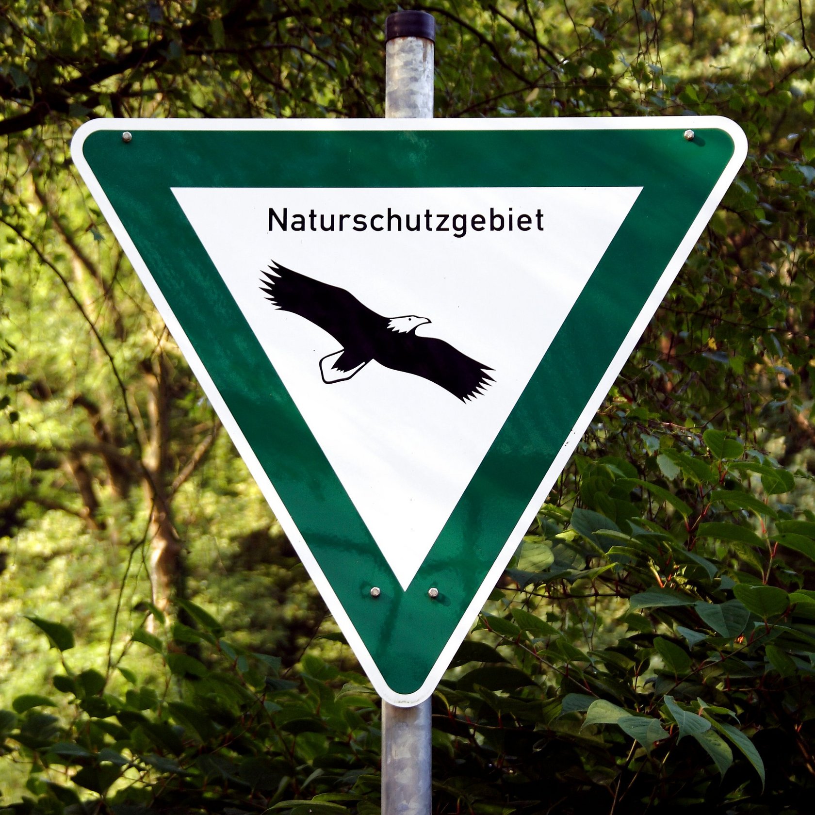 Schild mit der Aufschrift Naturschutzgebiet