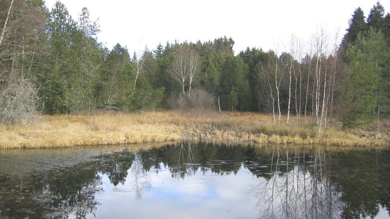Schutzgebiete Dreherhofmoor