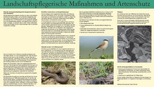 Infotafel mit Fotos und Informationen zu Ausgleichsmaßnahmen