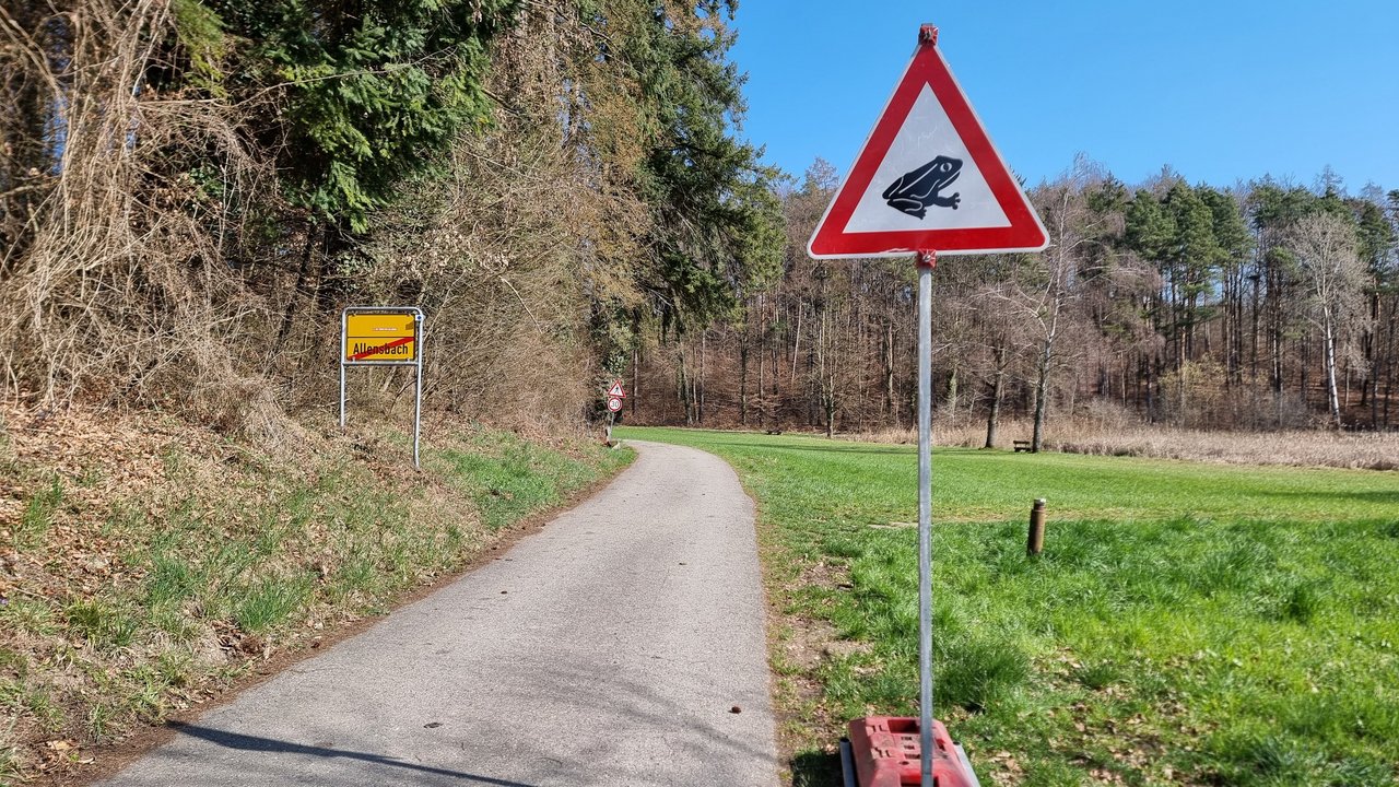 Schild Krötenwanderung