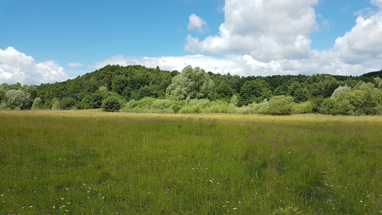 Naturschutzgebiet Bettenberg-Giratsmoos