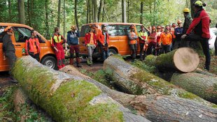 Forstwirt-Azubis bei der Holzsortierung Forstwirt-Azubis bei der Holzsortierung