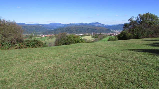 Blick von der Hohen Flum in Richtung Wiesental. Am Horizont ist der Belchen zu sehen.