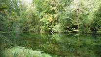 Rheinniederung von Breisach bis Sasbach Blick auf einen See
