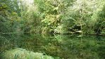 Rheinniederung von Breisach bis Sasbach Blick auf einen See