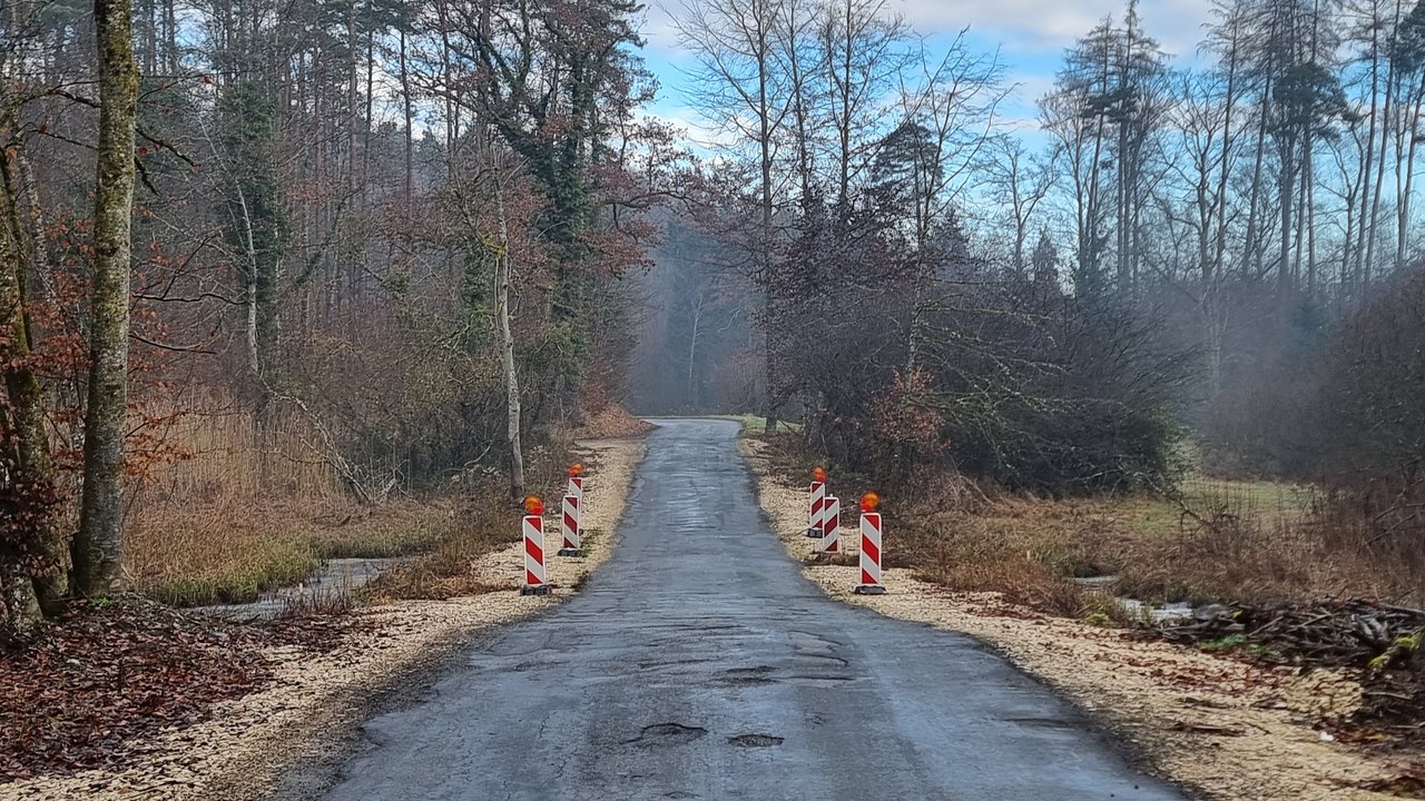 Straße zwischen Hegne und Dettingen