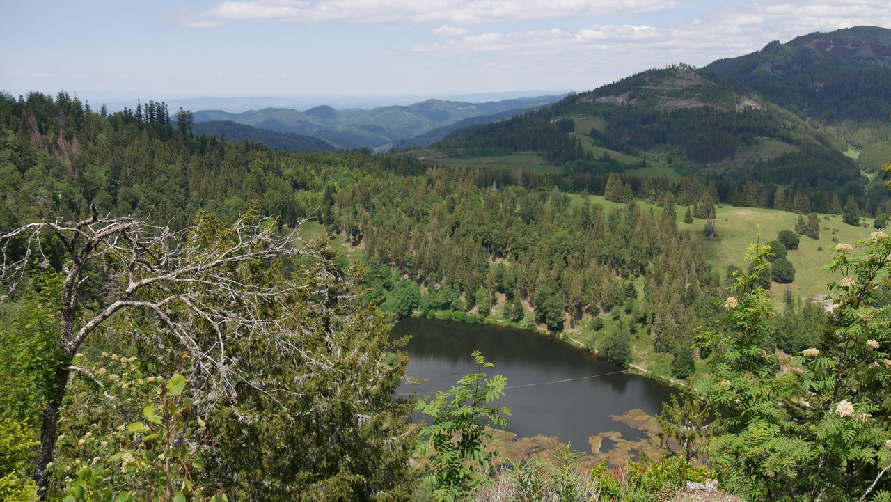 Blick vom Weiherfelsen auf den Nonnenmattweiher und den Belchen