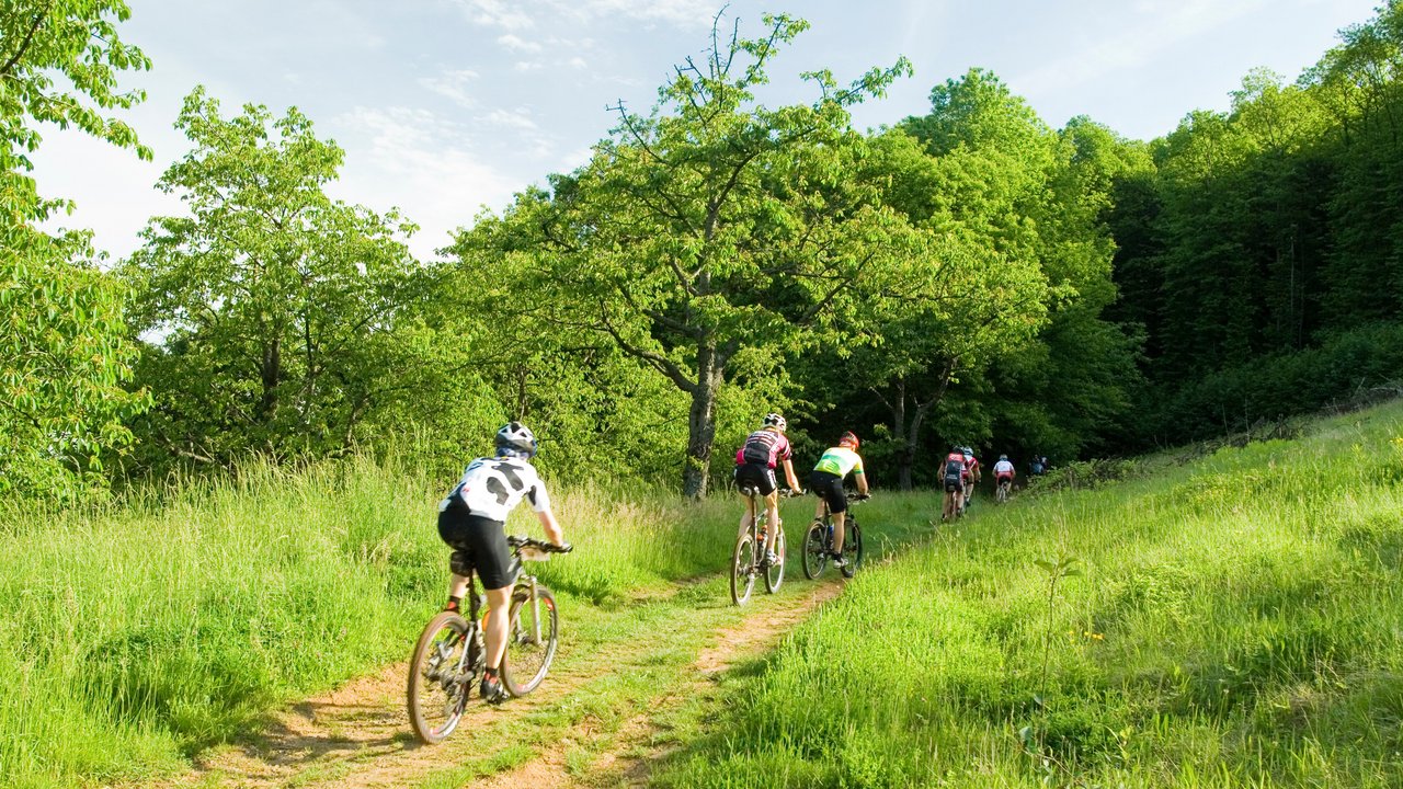 Großveranstaltungen im Naturschutzgebiet