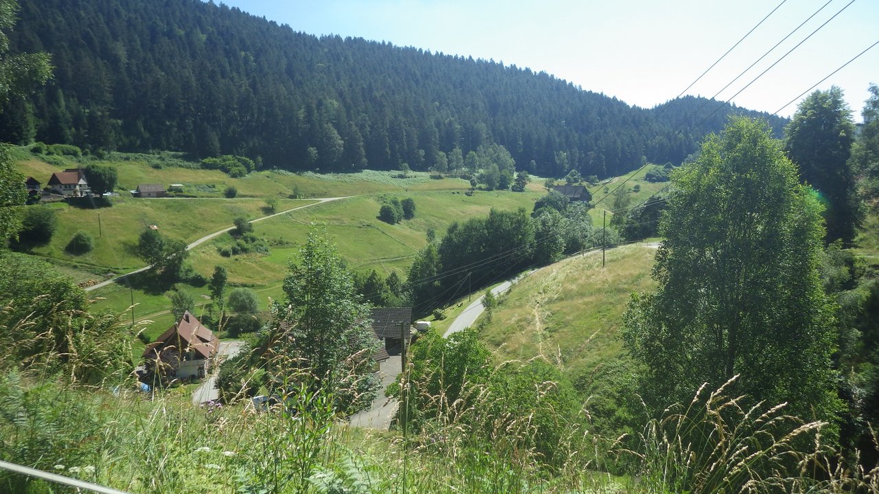 Natura 2000 beim Regierungspräsidium Freiburg Blick über Wüstenbach (Verena Gaschick-Alkan)