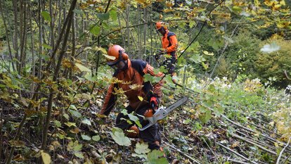 Landschaftspflegetag in der Wutachschlucht