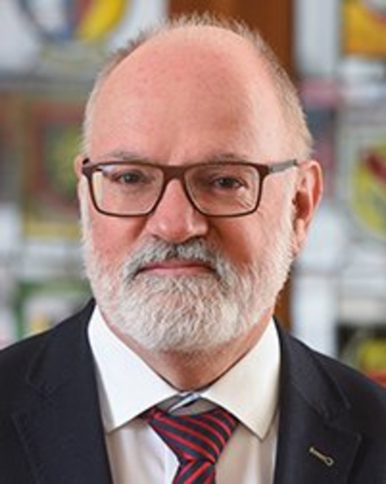 Regierungsvizepräsident